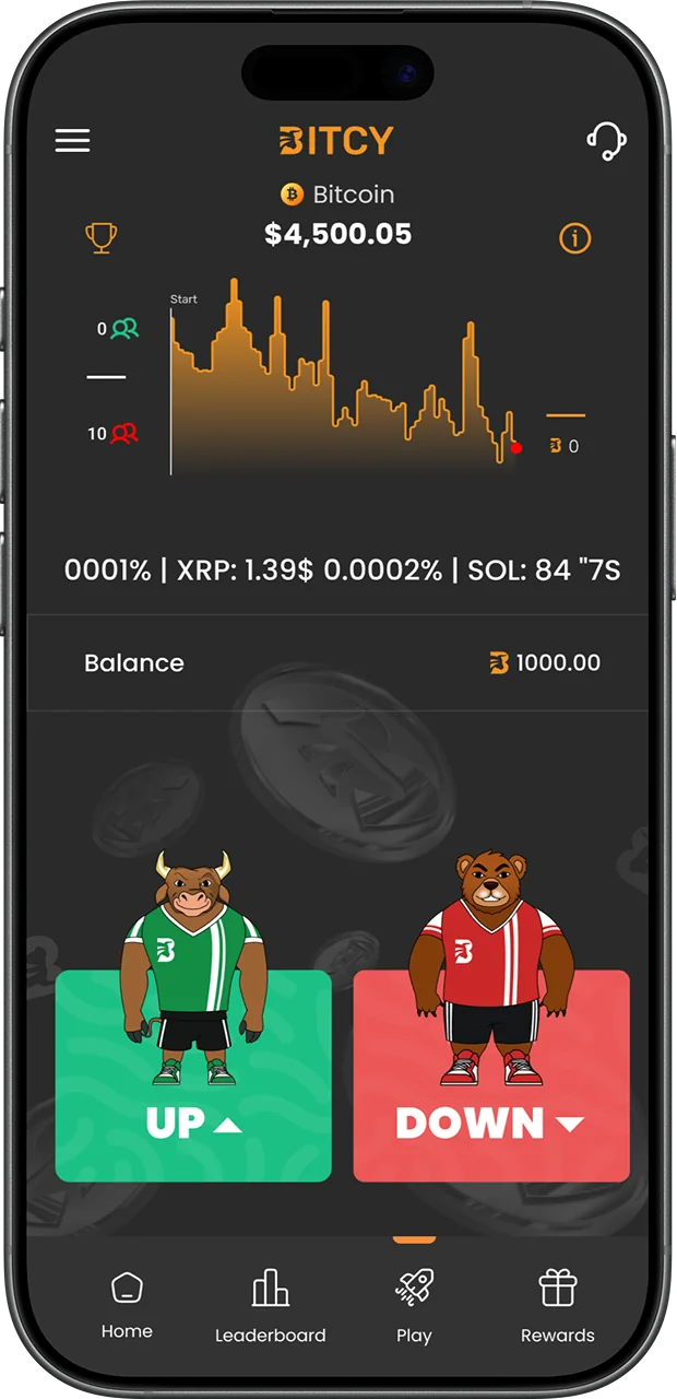 Payfon App